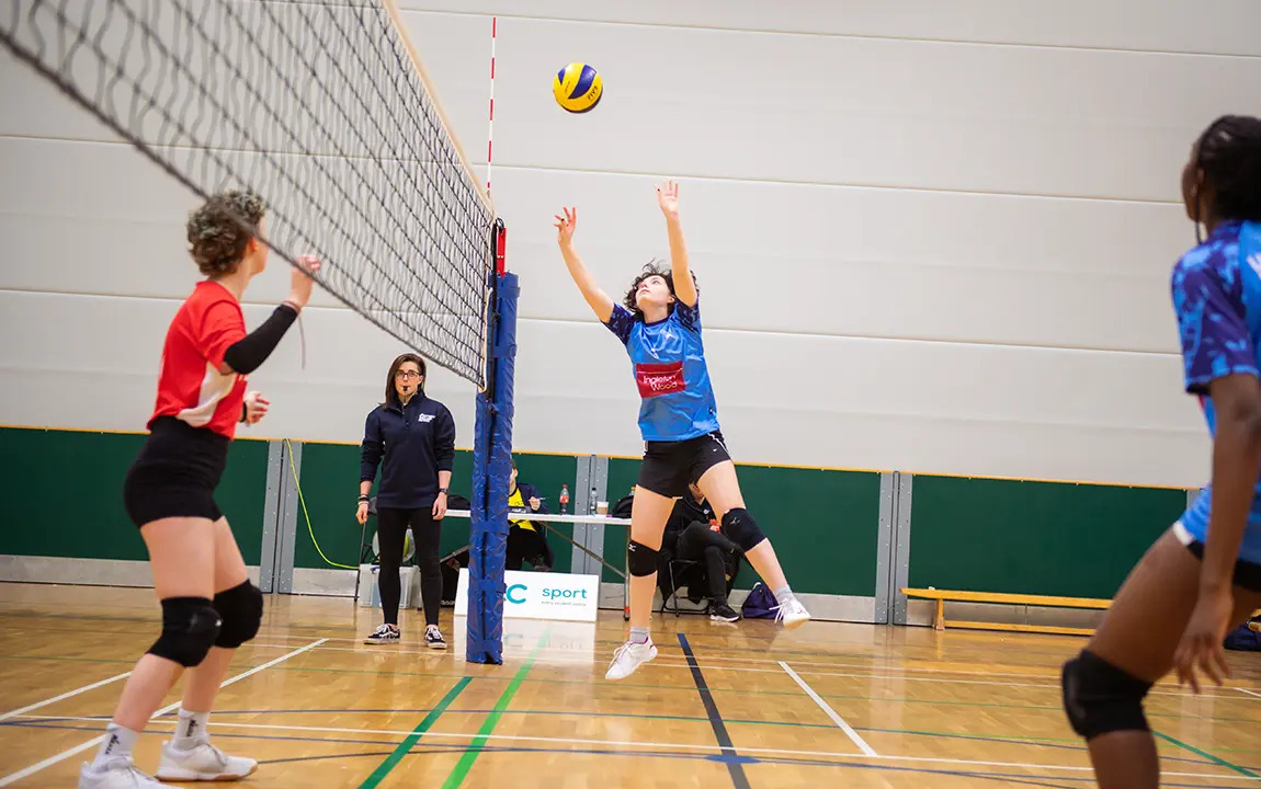 Volleyball Court